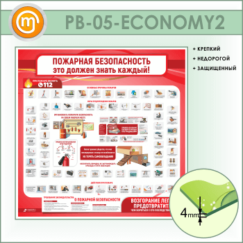   .     (PB-05-ECONOMY2)